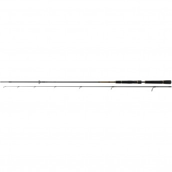 Удилище спиннинговое DAIWA Morethan Branzino AGS 97LML (длина 2.92м, тест 5-28гр.)